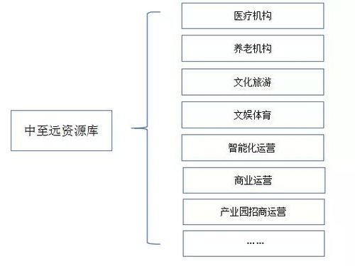 地方政府專項債發行全流程綜合咨詢服務方案——中至遠咨詢，以專業技術與防偽保障護航地方發展